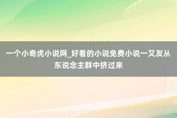 一个小奇虎小说网_好看的小说免费小说一又友从东说念主群中挤过来